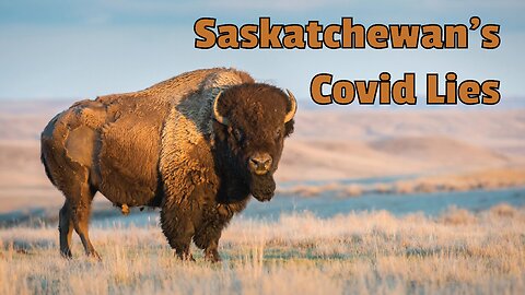 Saskatchewan's Covid Lies