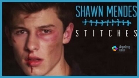 Shawn Mendes - "Stitches" with Lyrics