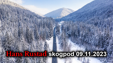 Skogpod 9. november 2023