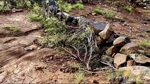 TRANSFORMING ARID LANDSCAPES: Rock Check Dam Progress & Sierra Cancer Treatment Changes