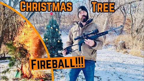 DISPOSING Of My CHRISTMAS Tree The RIGHT WAY!!!