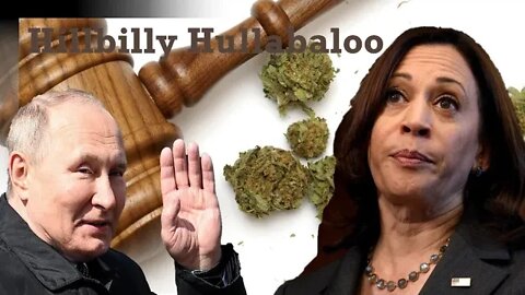 Kamala Harris gets HUGE backlash over blatant HYPOCRISY!