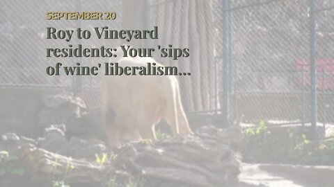 Roy to Vineyard residents: Your 'sips of wine' liberalism led to 50 migrant dead in San Antonio