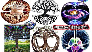 Mind Blowing Secrets of the Tree of Knowledge! Your Pineal Gland & Third Eye!