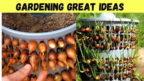 Garden Hacks Great Ideas