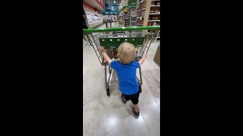Toddler Helps Mommy by Pushing the Grocery Cart!