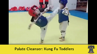 Palate Cleanser: Kung Fu Toddlers