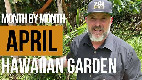 What To Do In The Tropical Garden In April
