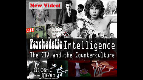 Psychedelic Intelligence – The C.I.A. and the Counterculture