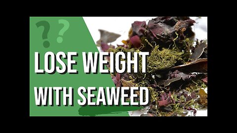 How to Lose Weight FAST with Seaweed? Thanks us later!