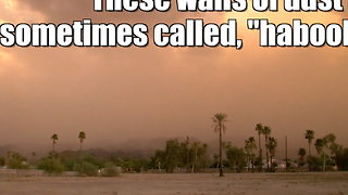 Dust storm covers Southwest