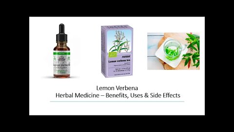 Lemon Verbena Herbal Medicine Benefits, Uses & Side Effects