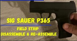 Conceal Carry Sig Sauer P365 Gun #gun #guns #sigsauer #9mm #gunreview #review