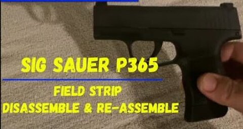 Conceal Carry Sig Sauer P365 Gun #gun #guns #sigsauer #9mm #gunreview #review