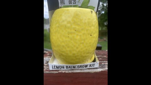 Lemon Balm growing is made easy with TOTAL GREEN -EDEN’s LIVING TV