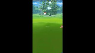 Live de Pokémon GO -