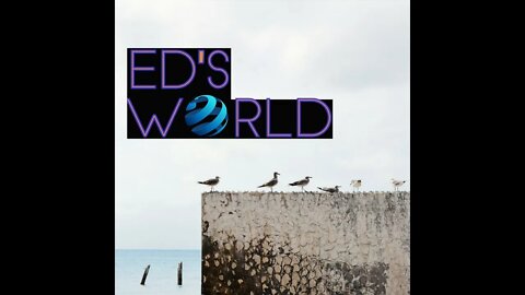 Ed's World #42: Ireland's own Historian Jon Talks Current Events