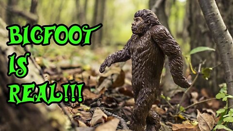 Bigfoot is real! Let's talk to the expert. Feat. Bigfoot Prepper.