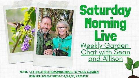 ☕ Saturday Morning LIVE Garden Chat - Attracting Hummingbirds☕