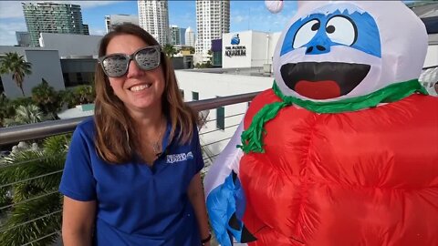 The Florida Aquarium ends 2022 with a snowball fight and a 'noon year's' party