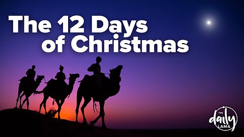 The 12 Days of Christmas!