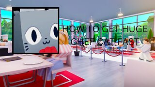 HOW TO GET CHEF CAT FAST
