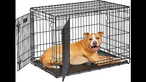 Review MidWest Homes for Pets New World Double Door Dog Crate Kit