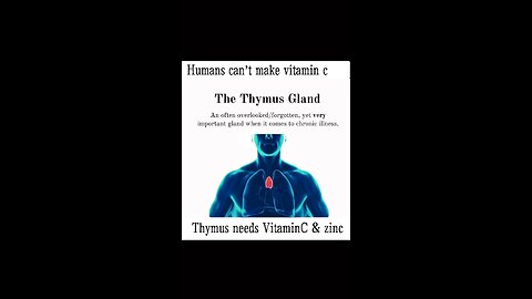 Thymus Gland