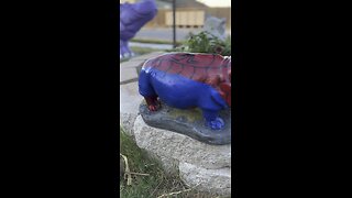 Spiderman Hippo