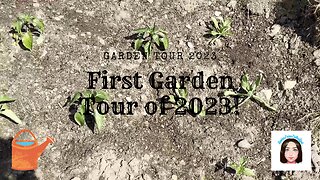 First Garden Tour of 2023! #garden #gardentour #gardening