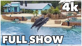 [4k] Dolphin Adventures Show at SeaWorld Orlando