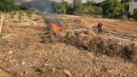 Grass burning to clear land