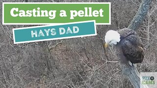 Hays Eagles Dad Casts A Pellet 2022 01 16 7:38AM