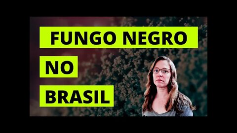 Fungo Negro: Mucormicose, pesadelo da pandemia no Brasil