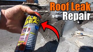 How To Fix A Roof Leak With Flex Seal | THE HANDYMAN |