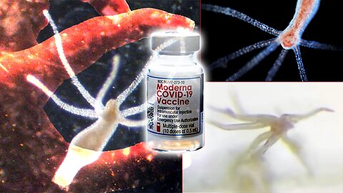Does the Covid Vaccine Consist of Reverse Engineered Alien Technology?