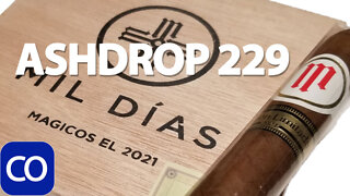 CigarAndPipes CO Ashdrop 229