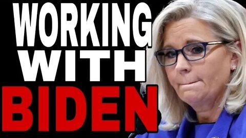 BUSTED LIZ CHENEY HUSBAND IS HUNTER BIDEN LAWYER