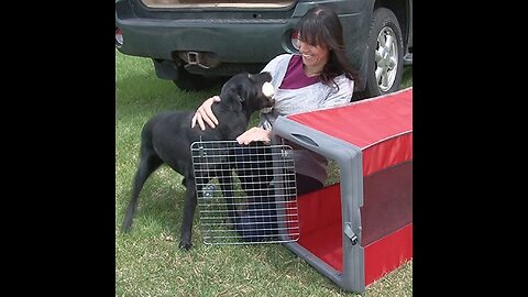 Review Small Pop Crate Red - Dog House Dogs Cats Houses Kennel Crate Play Pen Igloo Outdoor Ind...