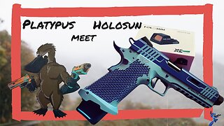 Holosun 407k on Stealth Arms Platypus