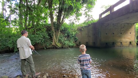 Small Creek Fishing in Costa Rica