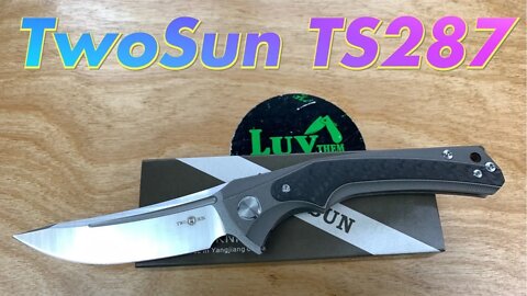 TwoSun TS287 / includes disassembly / Wong design ! If this is Wong…I don’t want to be right !
