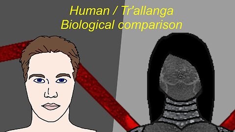 Human and Tr'allanga internal biology comparison | What differences do Tr'allanga have from humans?
