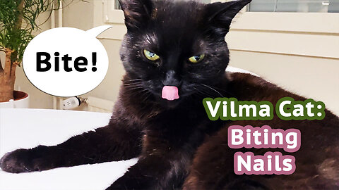 Vilma Cat Biting Nails