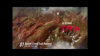 DiRT Rally 2 - Muddy Migration Through Beaver Creek Trail