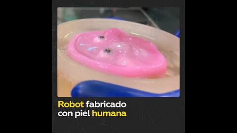Robot hecho de piel humana asombra a la comunidad científica