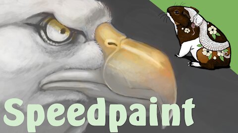 Bald eagle speedpaint