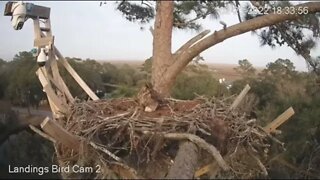 Mom's Leave and Return-Cam Two View 🦉 2/23/22 18:33