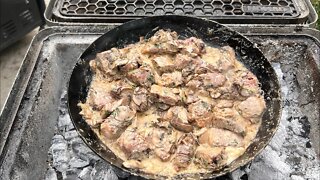 Grilled steak bites in mushroom cream sauce