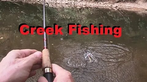 Fishing in Chiques Creek, scooter and healing update, Making my Dodge Dart squeal its tires